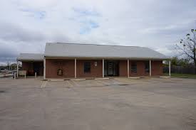 Artificial grass in Lavon, TX