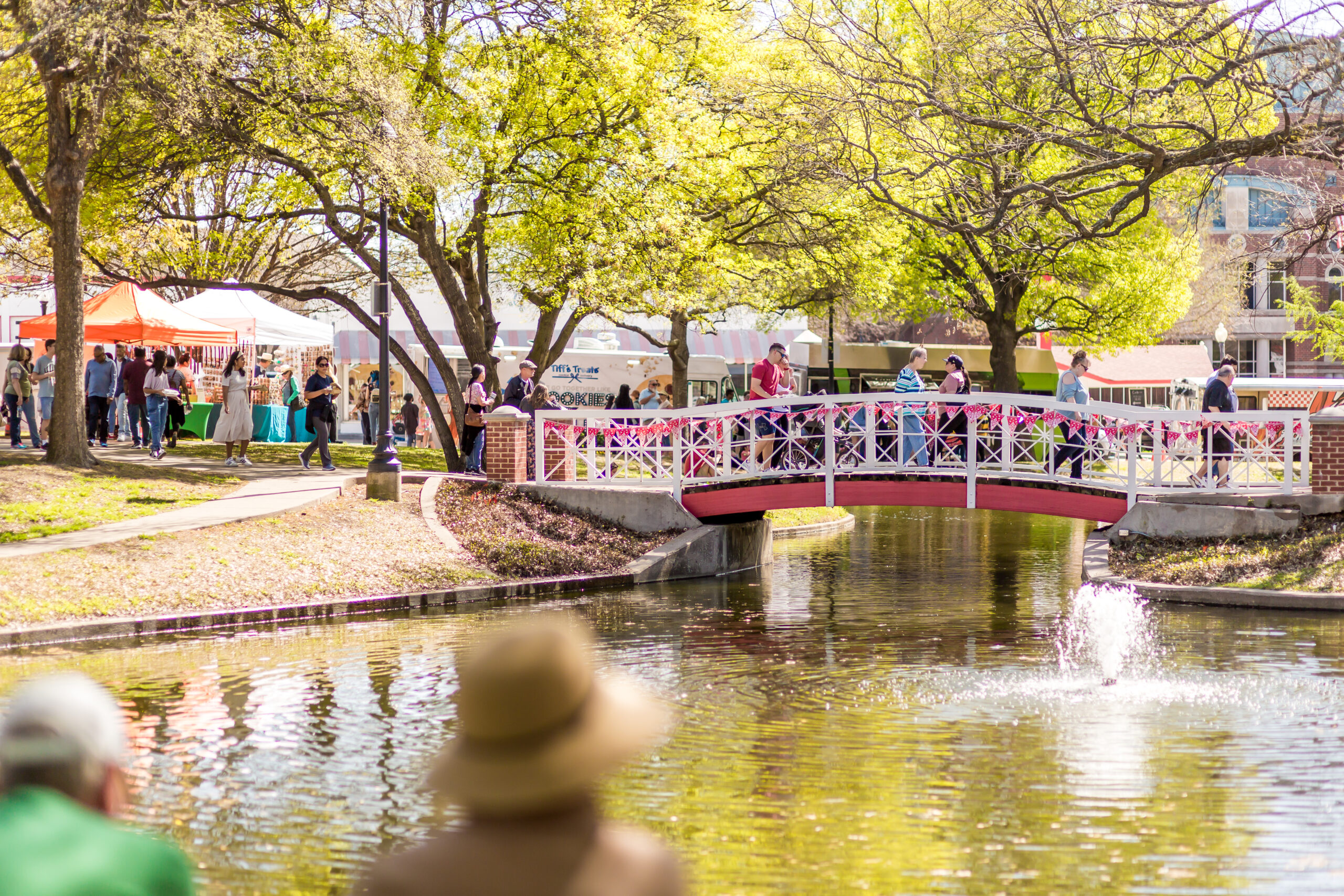 Artificial grass installation in Plano, TX, TX